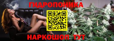 PSILOCYBIN Кандалакша