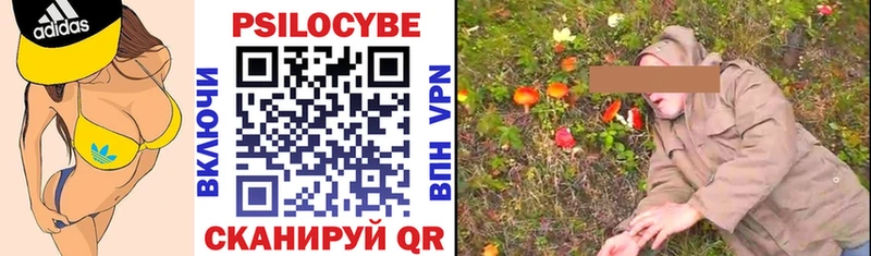 Псилоцибиновые грибы мухоморы площадка клад Заринск