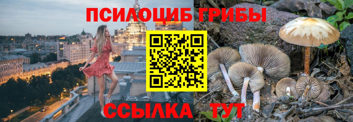 Псилоцибиновые грибы мицелий Заринск